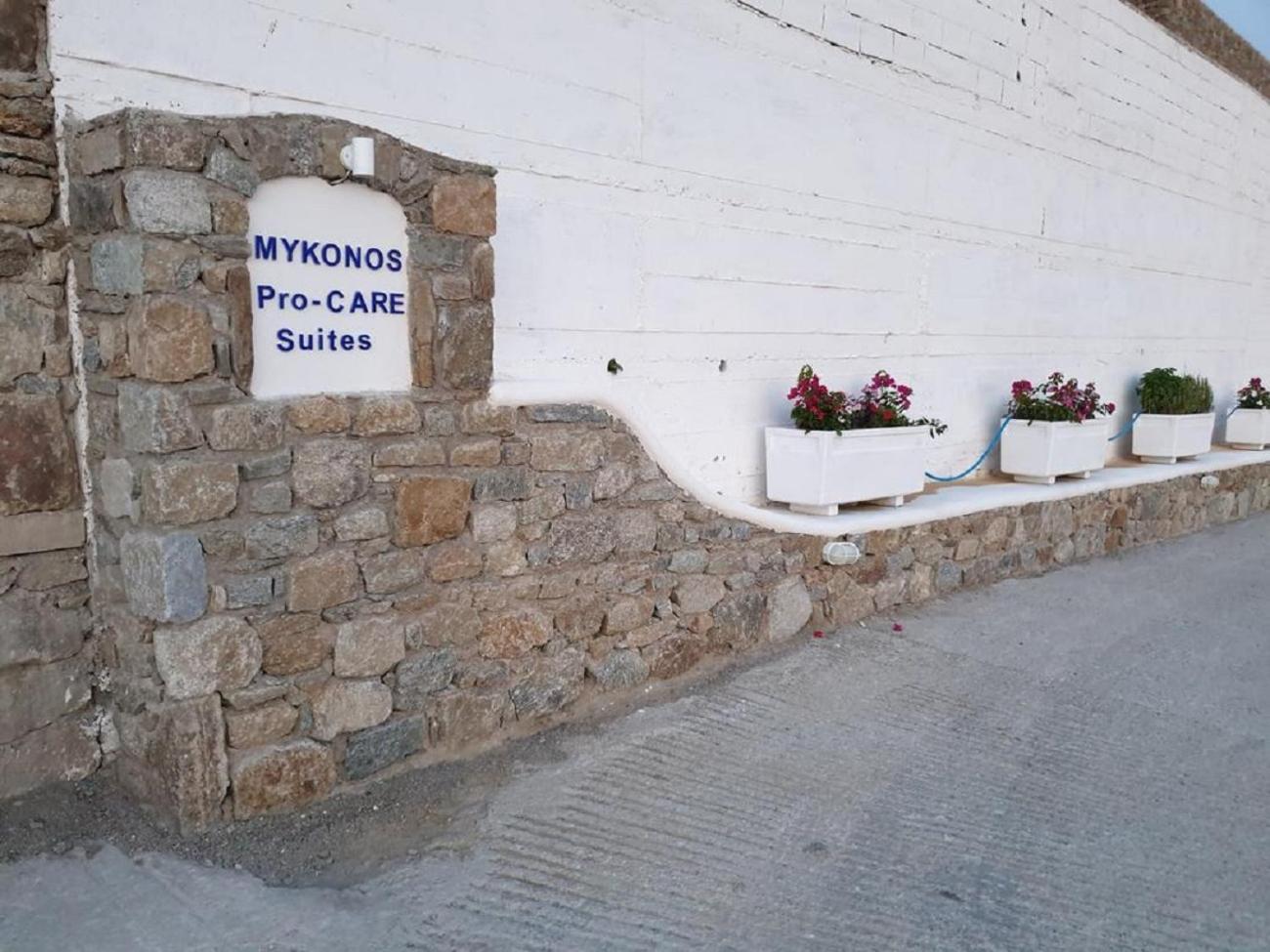 Mykonos Pro-Care Suites Áno Merá Kültér fotó